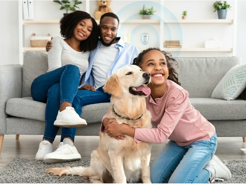 Repellio in use